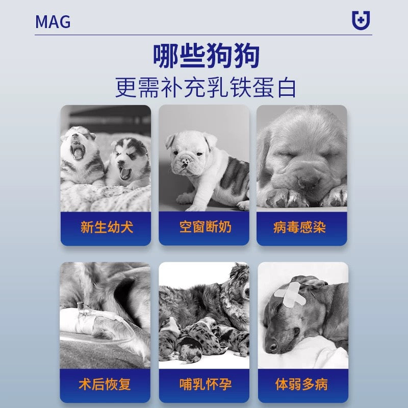 MAG U+ Lactoferrin Concentrate for Dogs - kikiandpuppies