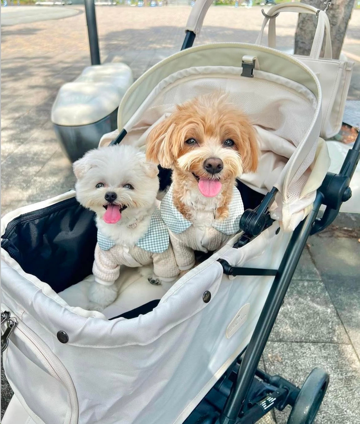 Royal Tails Florence Pet Stroller