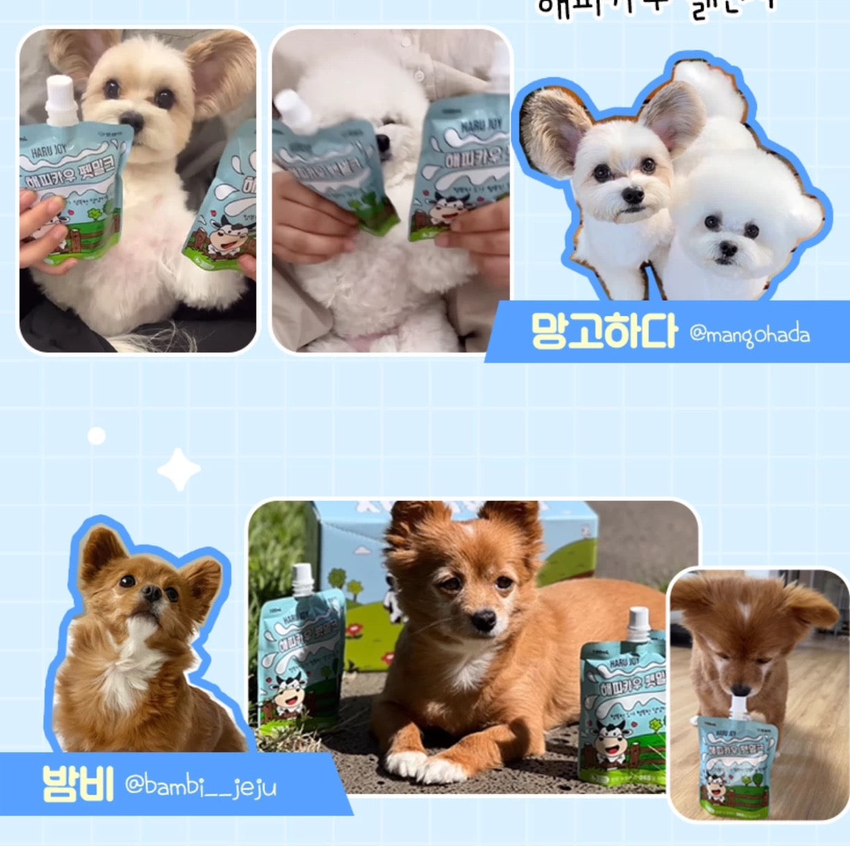 HARU JOY Happy Cow Premium Pet Milk 100ml - kikiandpuppies