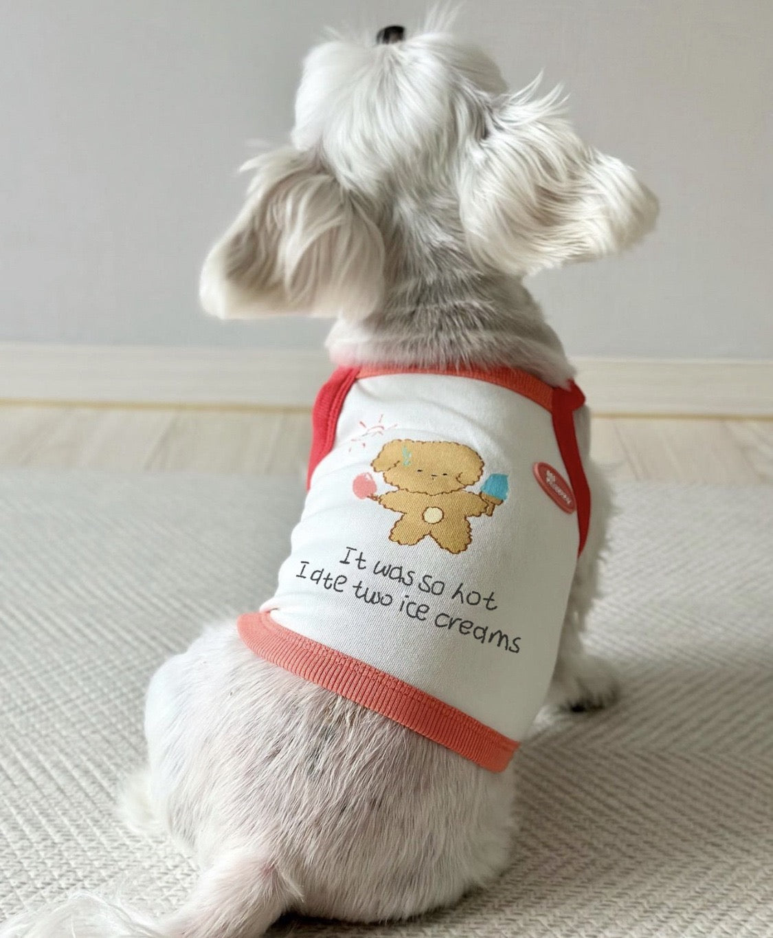 Myfluffy Birthday Diary Pet T-shirt Summer Top