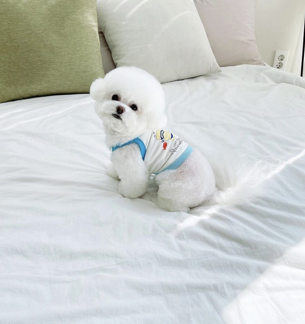 Myfluffy Birthday Diary Pet T-shirt Summer Top
