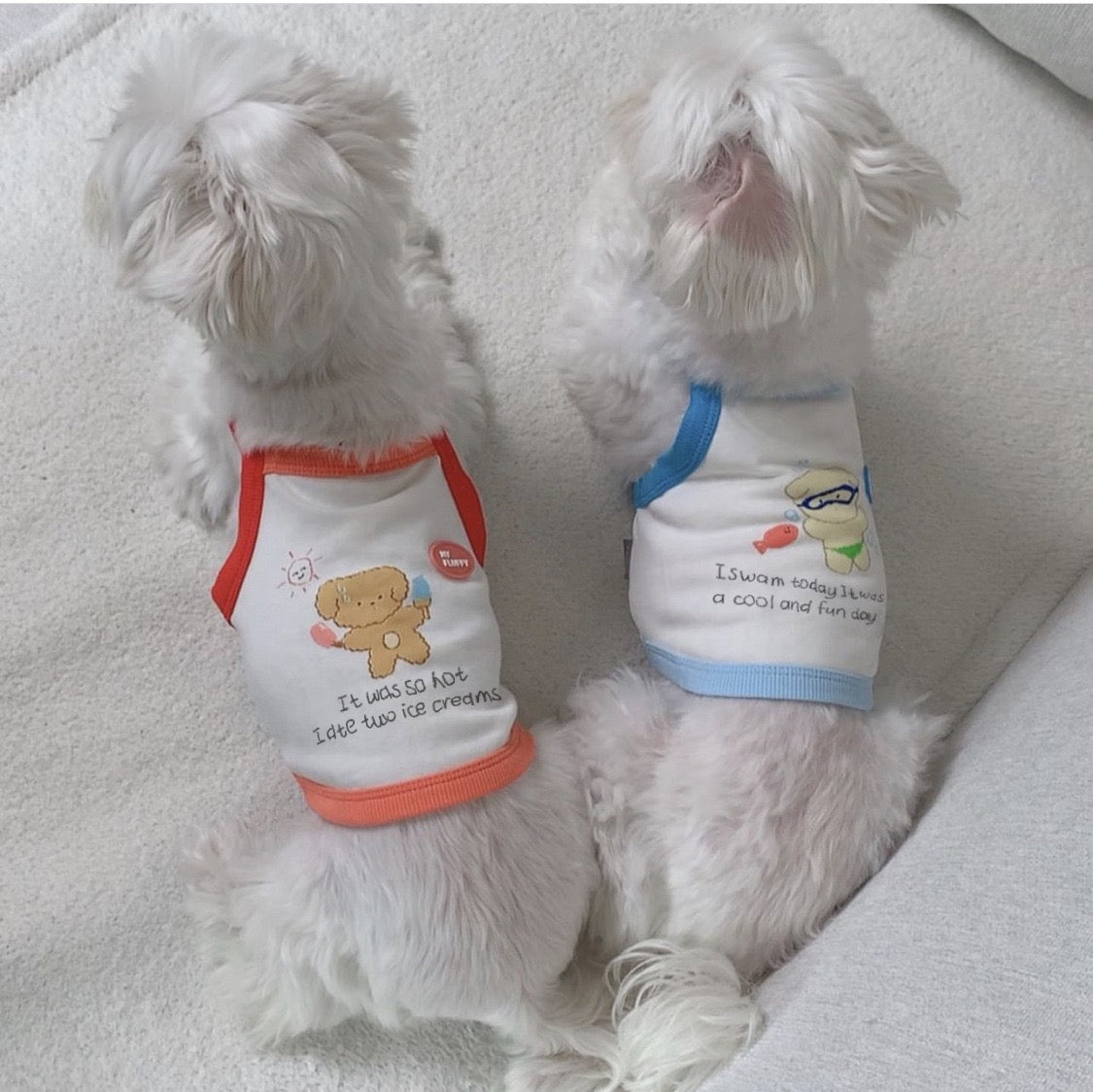 Myfluffy Birthday Diary Pet T-shirt Summer Top