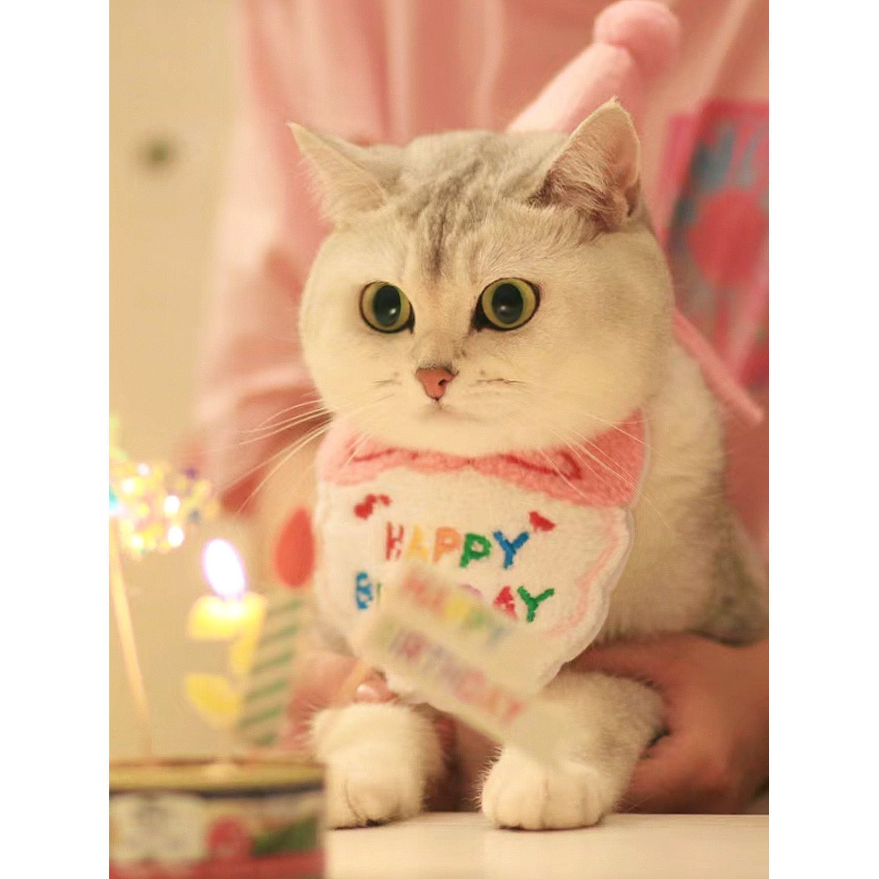 Birthday Bib And Hat For Pets - kikiandpuppies