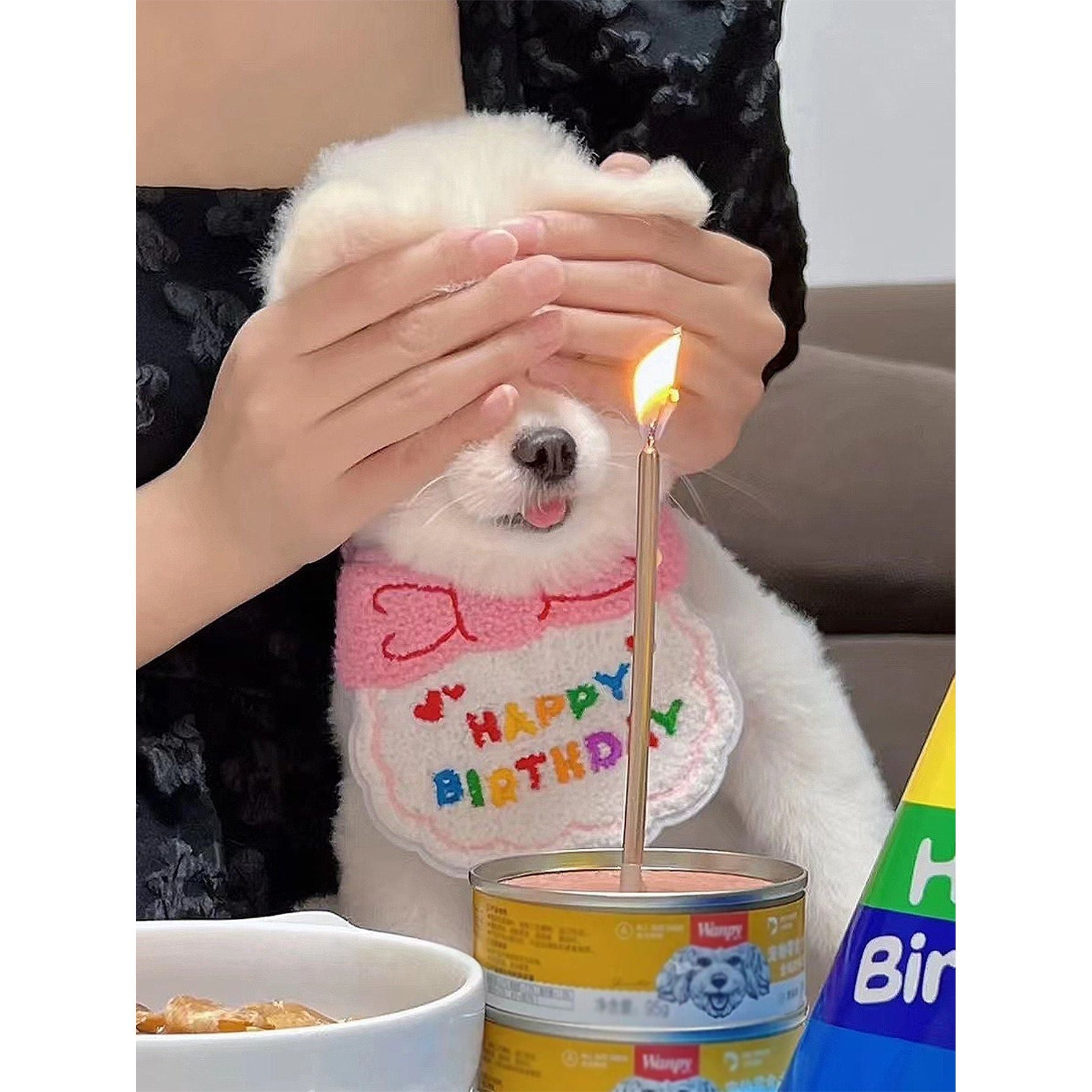 Birthday Bib And Hat For Pets - kikiandpuppies