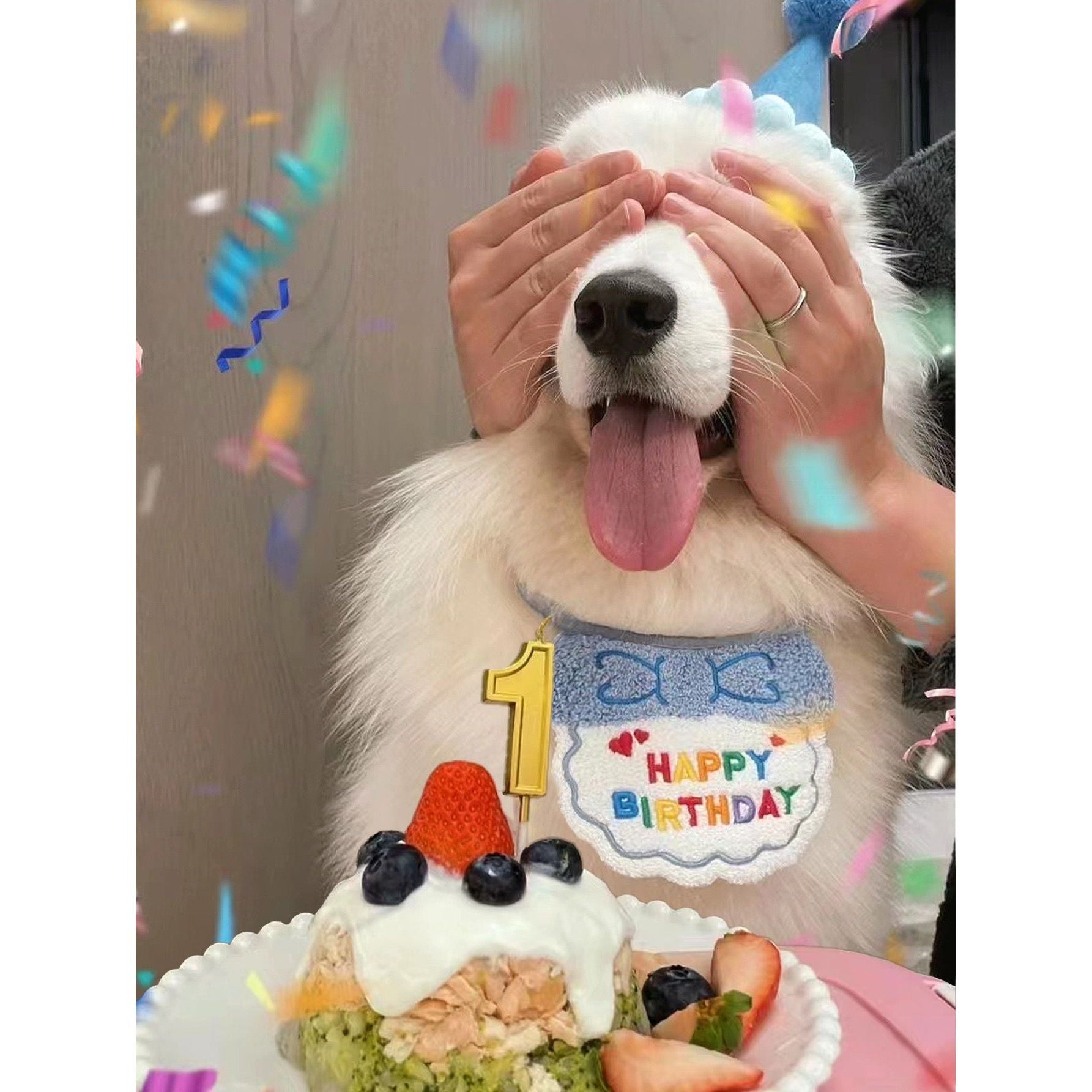 Birthday Bib And Hat For Pets - kikiandpuppies