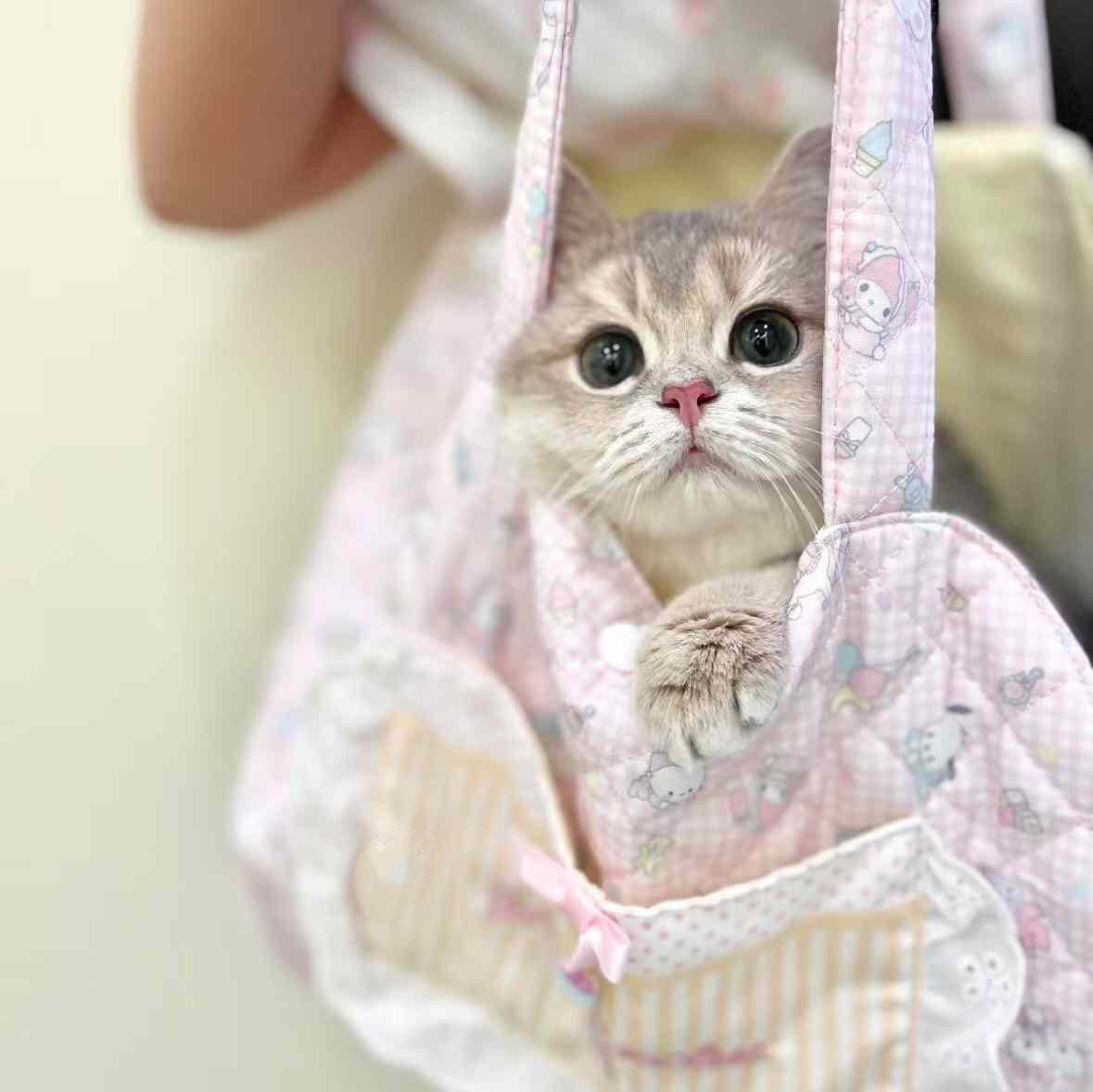 Pet Cat Dog Sling Bag with Inner Cushion - kikiandpuppies
