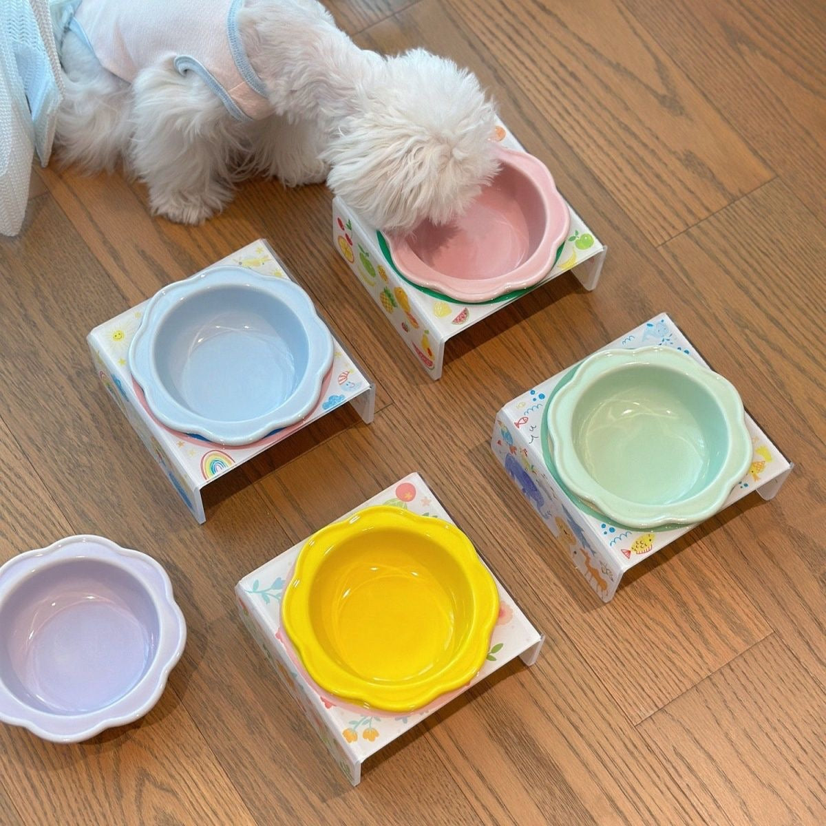 Pet Ceramic Cat Dog Bowls Set With Tray