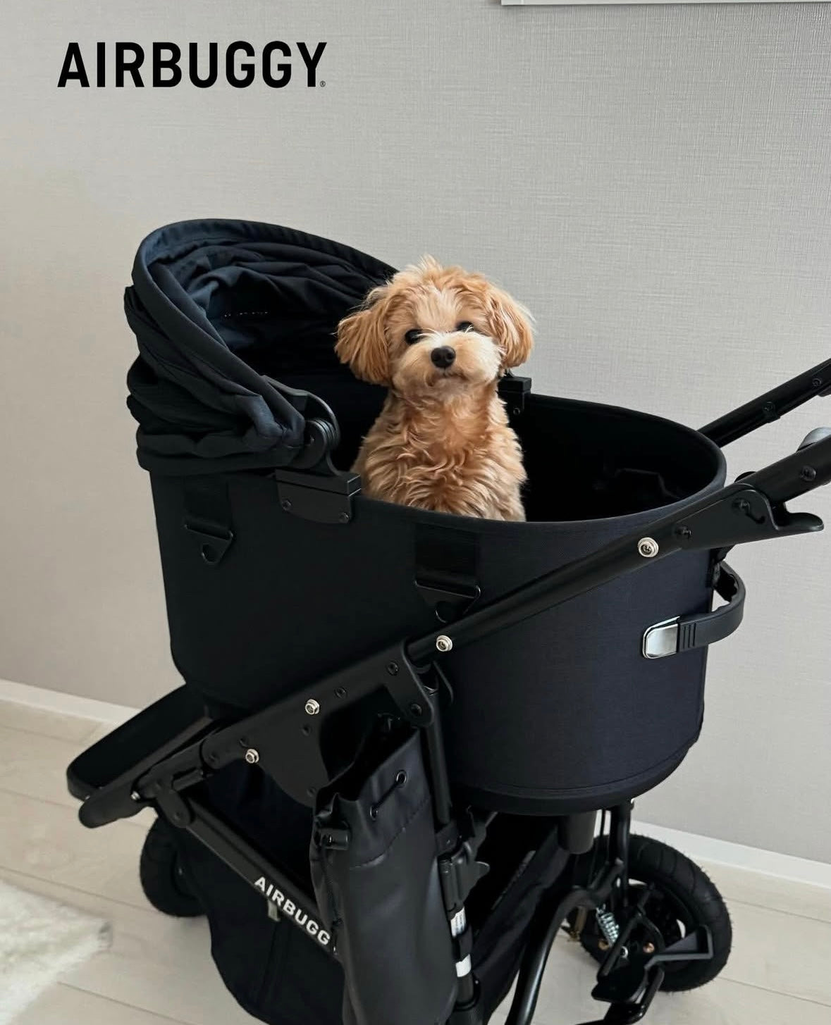 Airbuggy DOME3 Stroller - kikiandpuppies