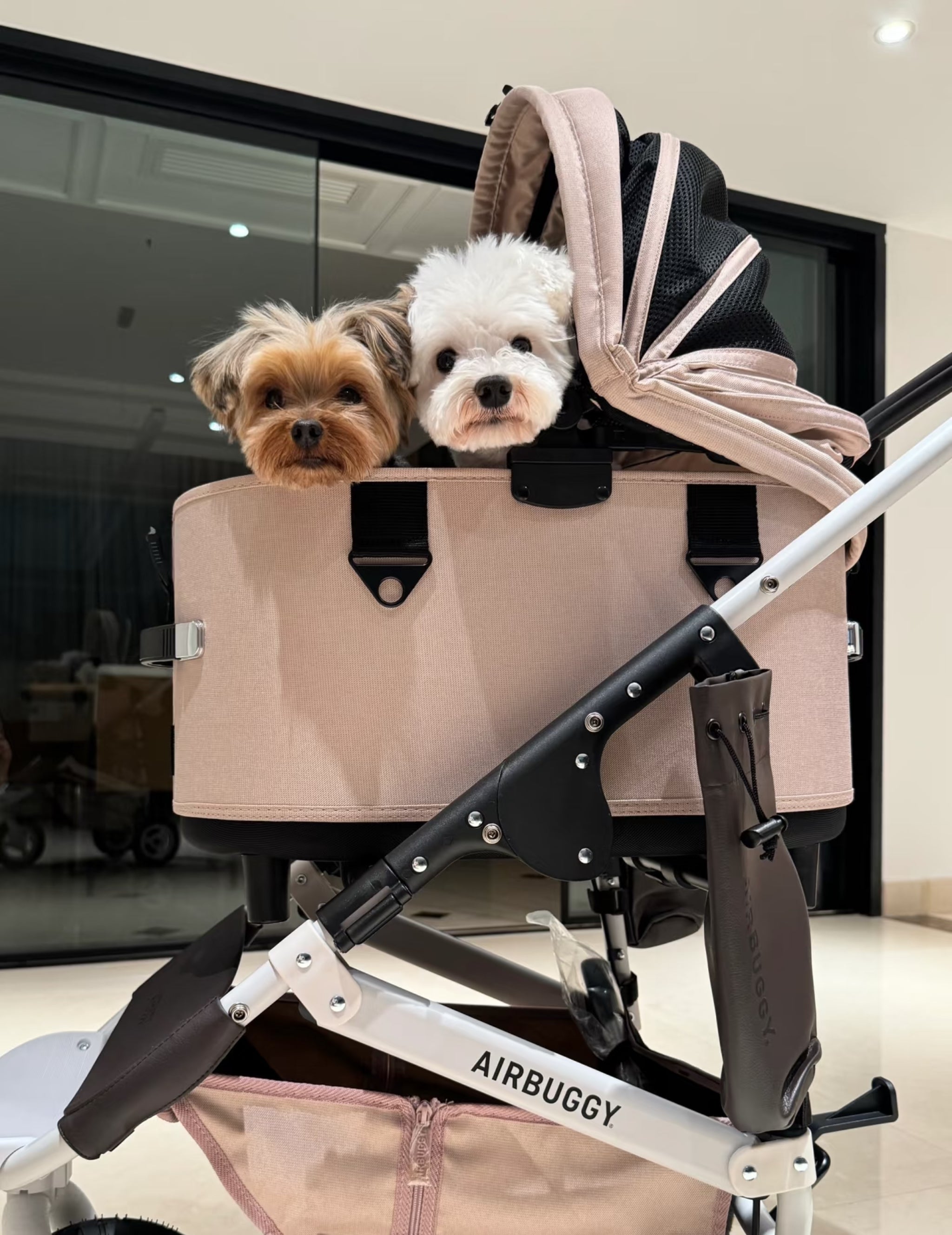 Airbuggy DOME3 Stroller - kikiandpuppies