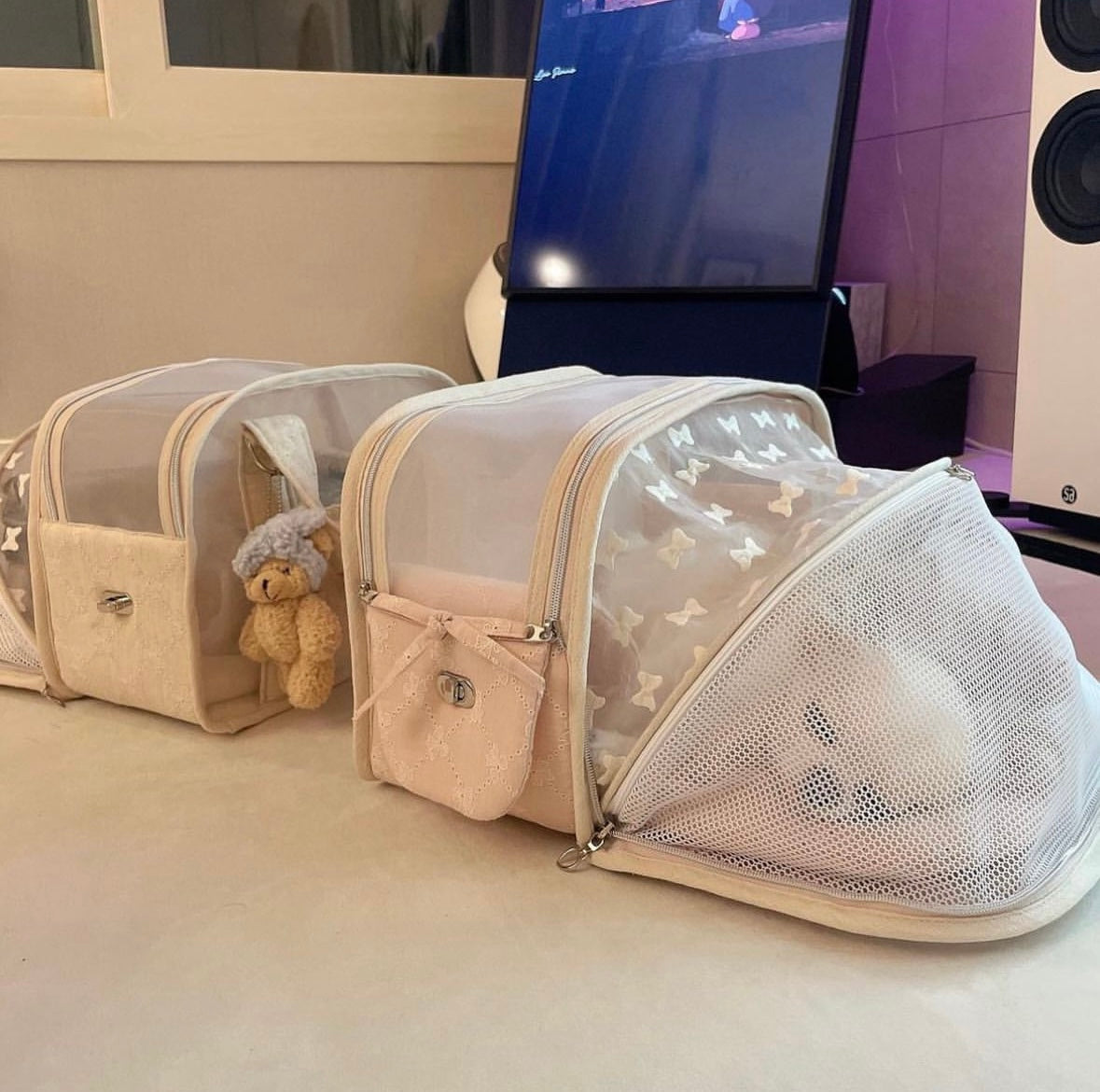 BABIANA Ajiback Cube See through Pet Carrier Bag - Extended