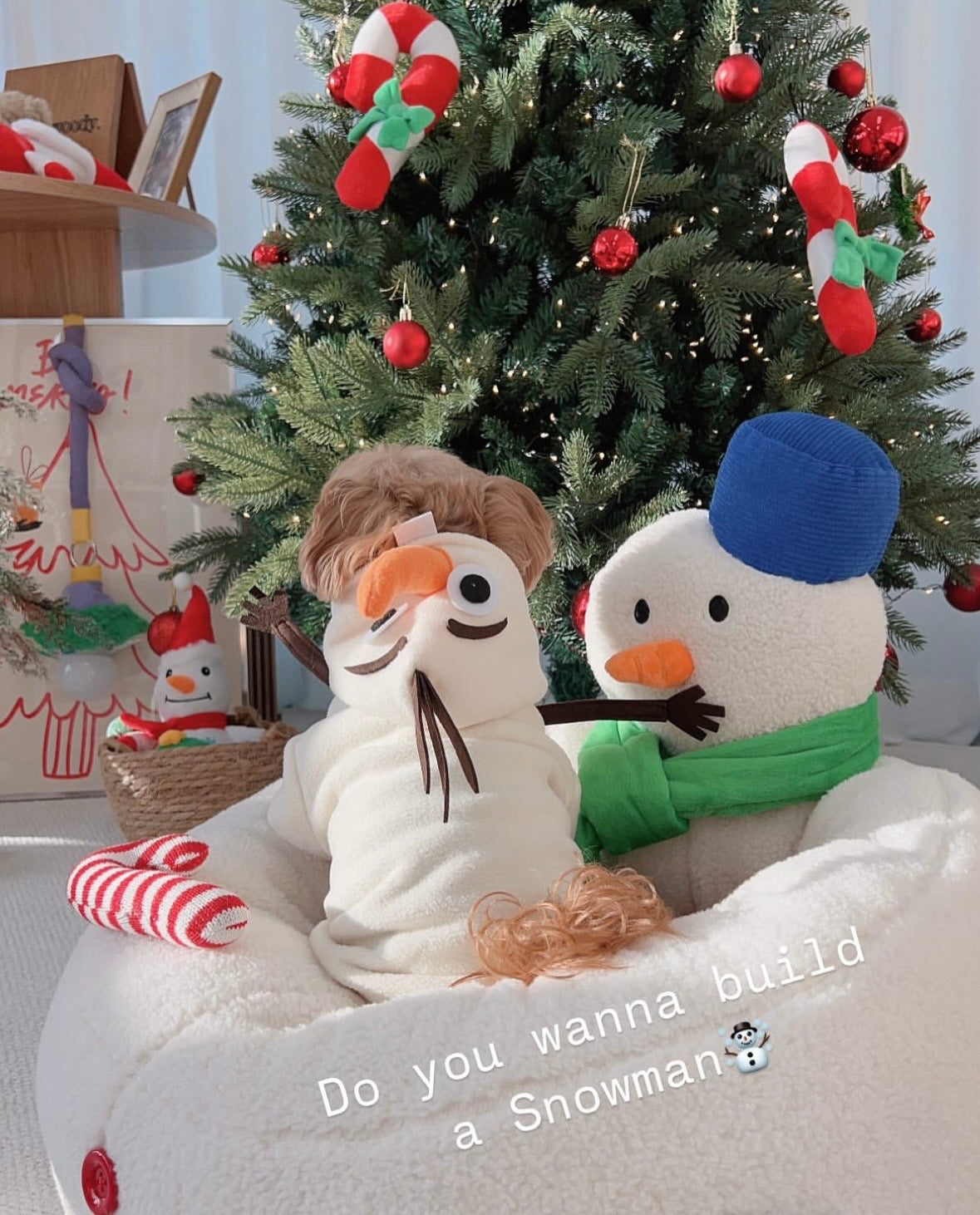 Hug Snowman Cat Dog Bed