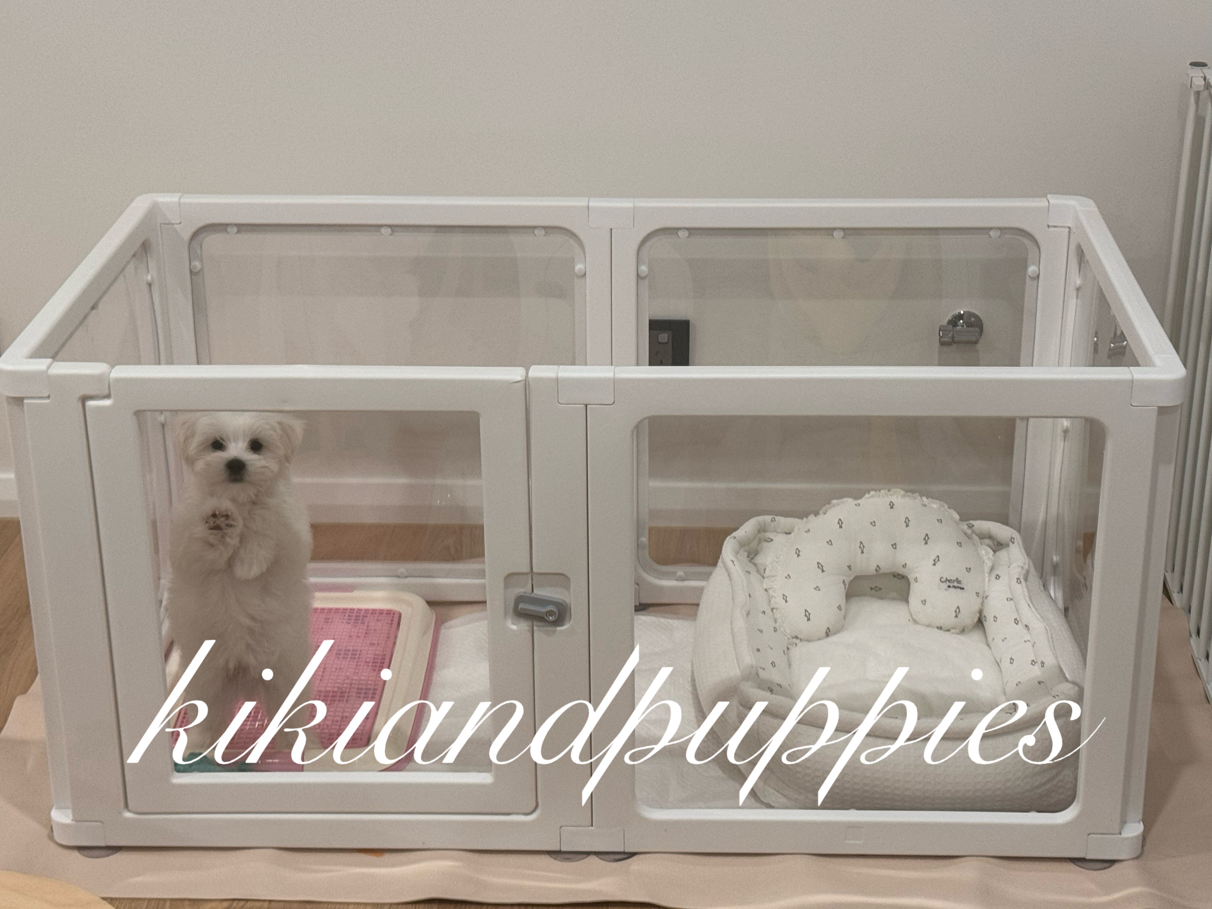 Acrylic Transparent Pet Playpen - kikiandpuppies