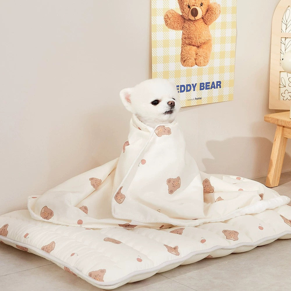 Teddy Bear Dog Cushion Nap Blanket Pad Cat Pillow Quilt Set