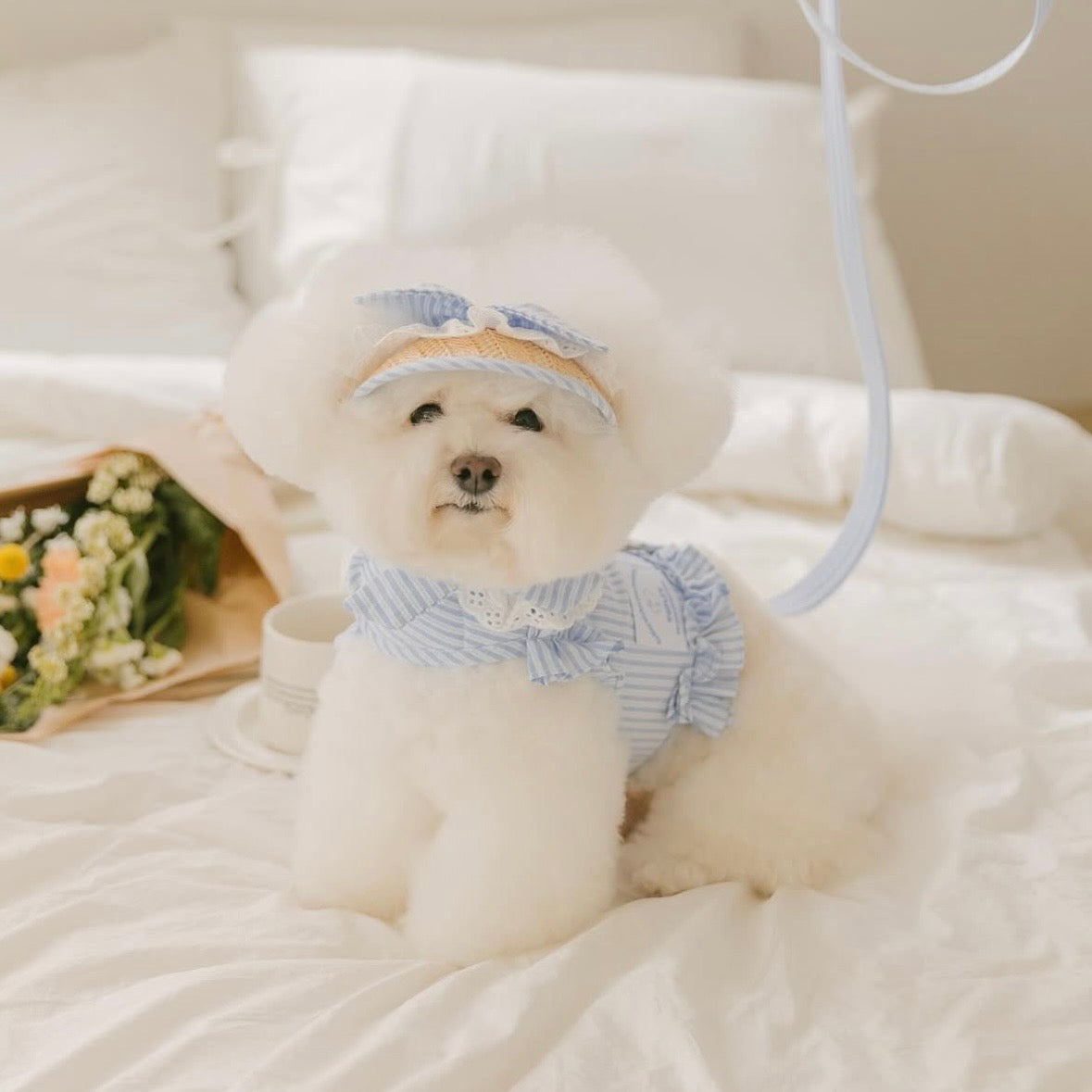 Pet Bebe Frill Harness - Blue