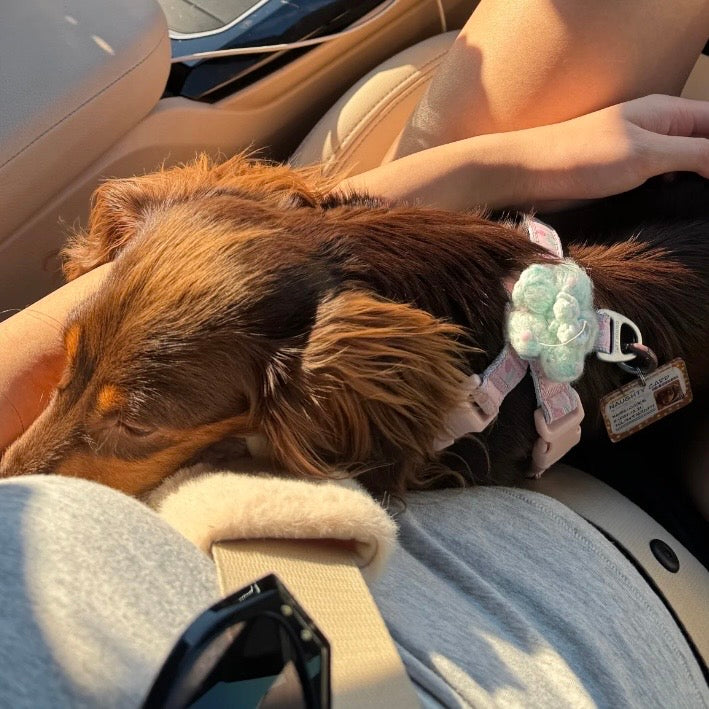 TuffHound FaFa Pet Harness Ultra-Light for Small Dogs and Cats