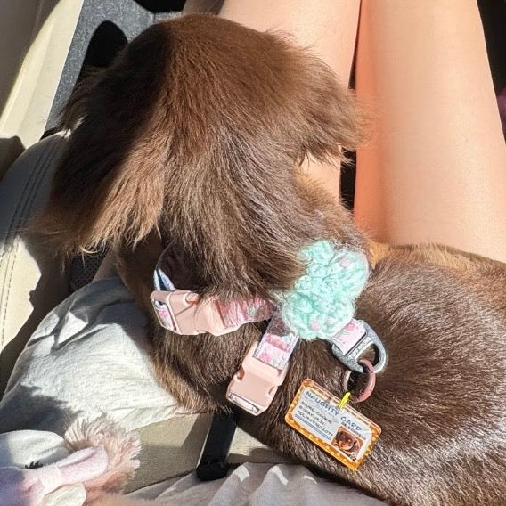 TuffHound FaFa Pet Harness Ultra-Light for Small Dogs and Cats