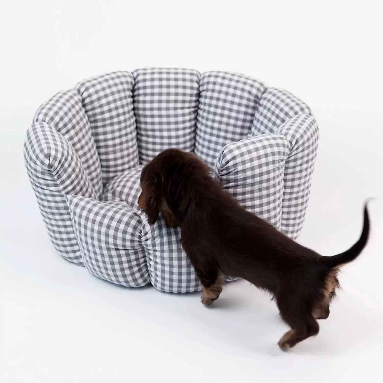 Checkered Pet Bed for Dachshunds and Small Pets
