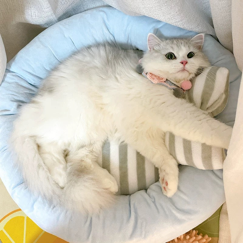 Cute Bow Round Pet Bed and Pillow Set