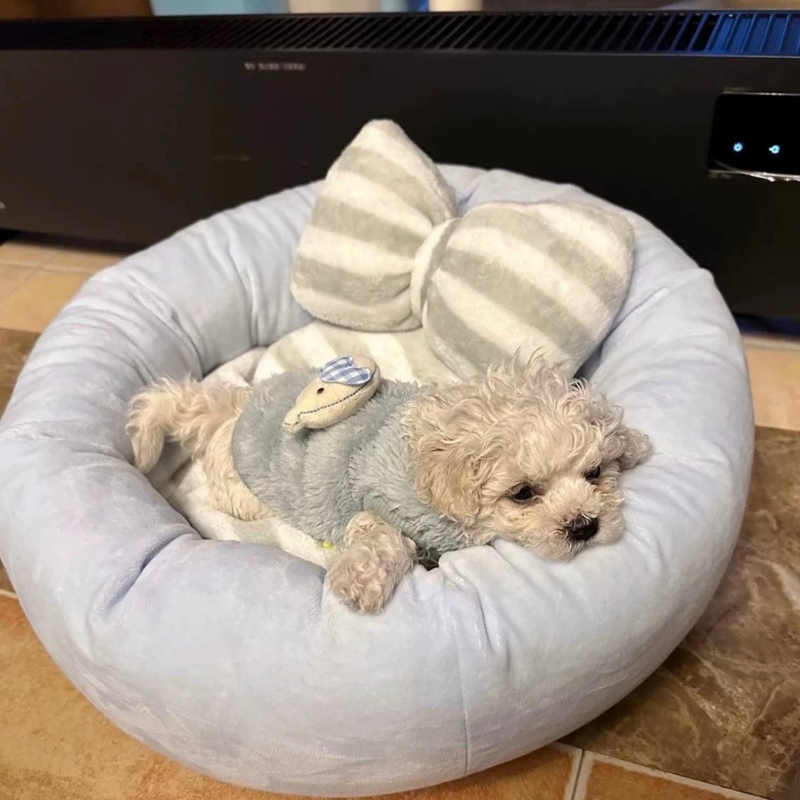 Cute Bow Round Pet Bed and Pillow Set