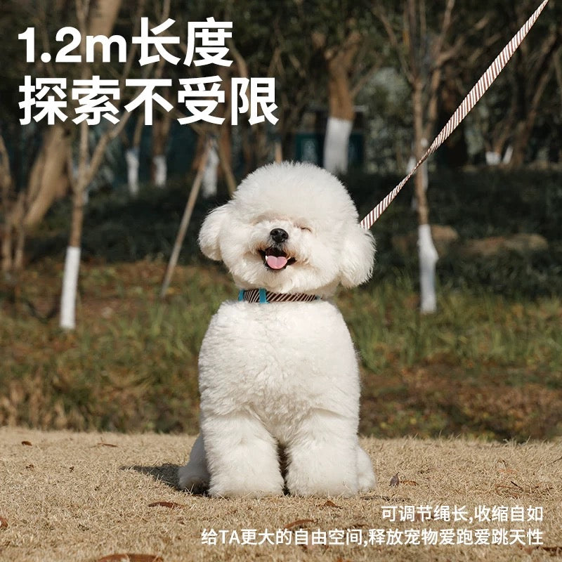 Leather Pet Harness with Leash