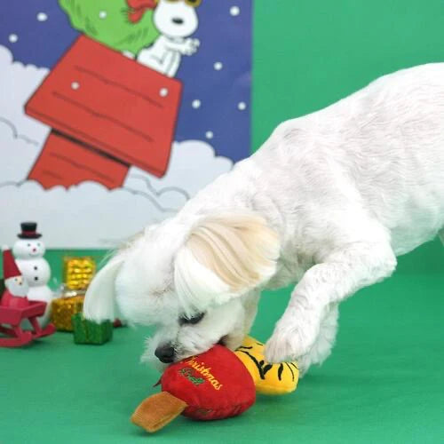Ensemble de peluches de Noël Peanuts 