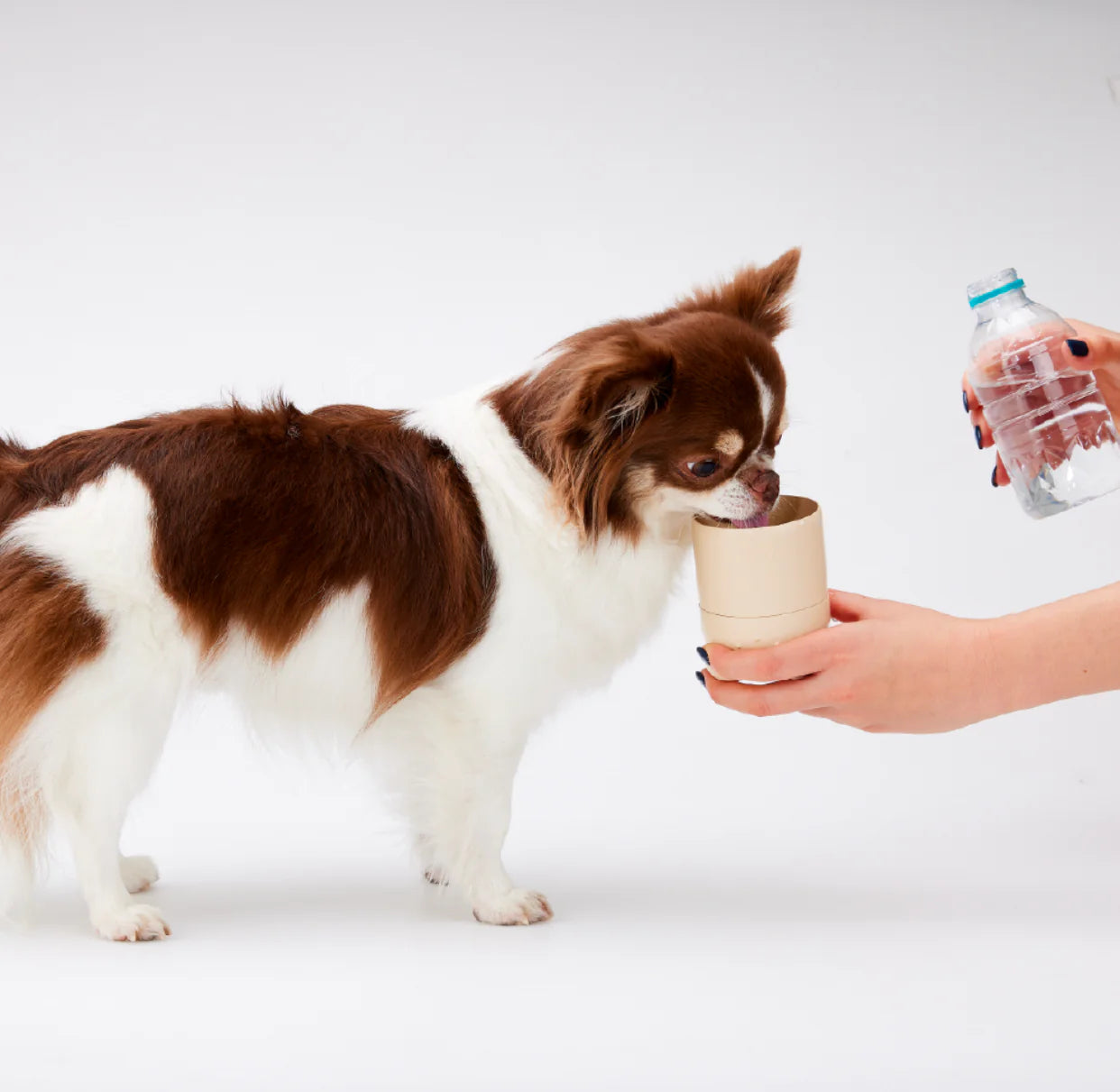 Portable Water Bottle & Snack Bottle - 3 Colors - kikiandpuppies