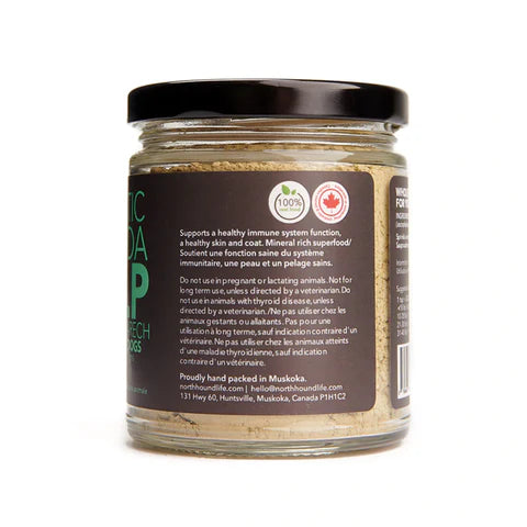 North Hound Life Atlantic Kelp