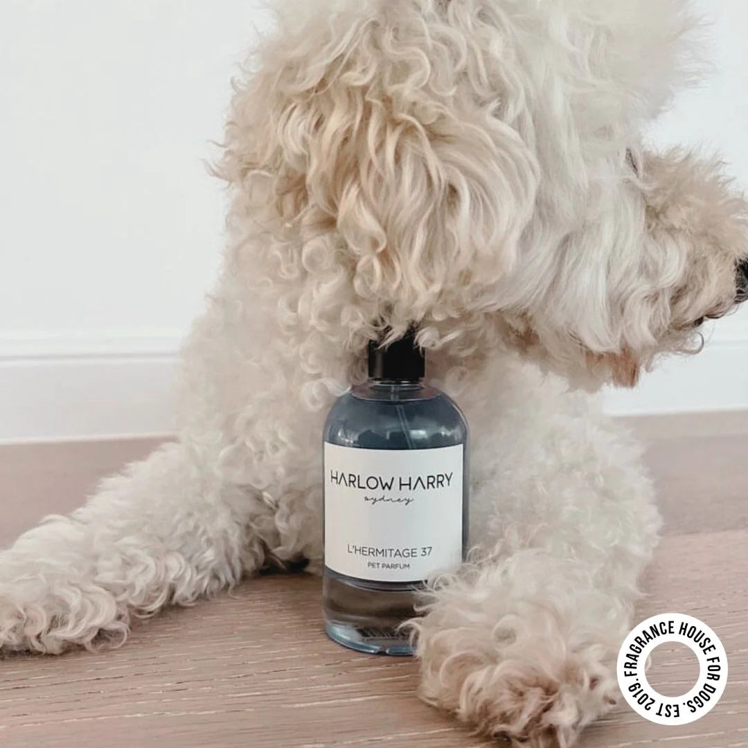Pet Perfume | L'hermitage 37 - kikiandpuppies