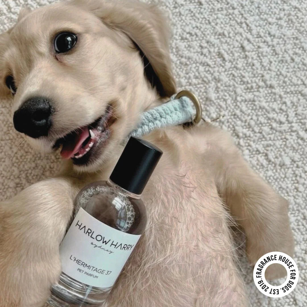Pet Perfume | L'hermitage 37 - kikiandpuppies
