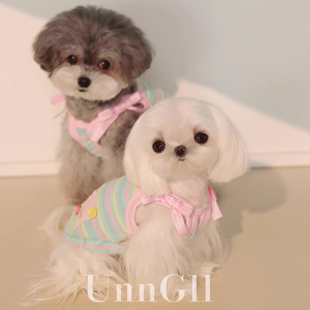 Cooling Colorful Striped Sun-Proof Pet Vest