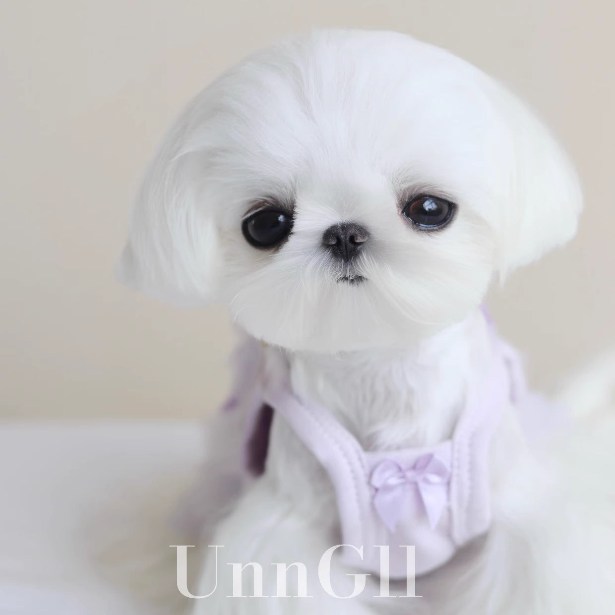 Pet Cake Princess Dress with Tulle and Rhinestones