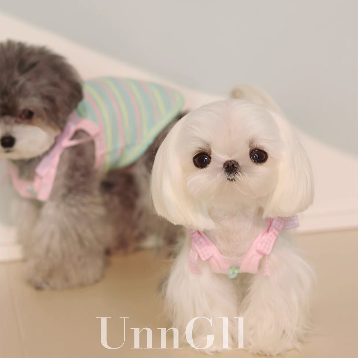 Cooling Colorful Striped Sun-Proof Pet Vest