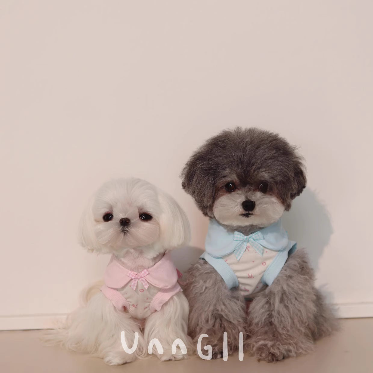 Summer Cooling Ice Silk Pet Top