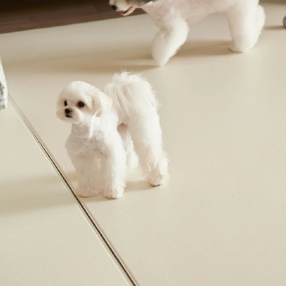 Non-Slip Waterproof Korean Pet Play Mat Rug Type
