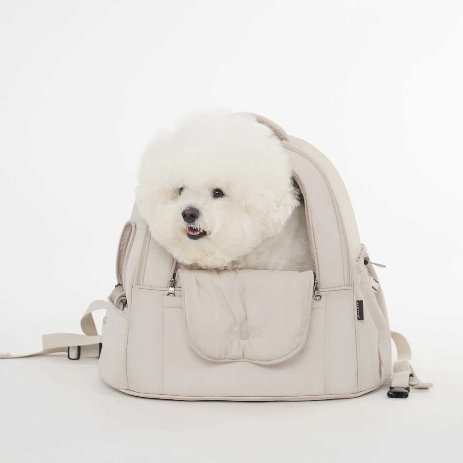 [SO-CA413] SSOOOK DOUBLE WINDOW FRONT BAG - kikiandpuppies