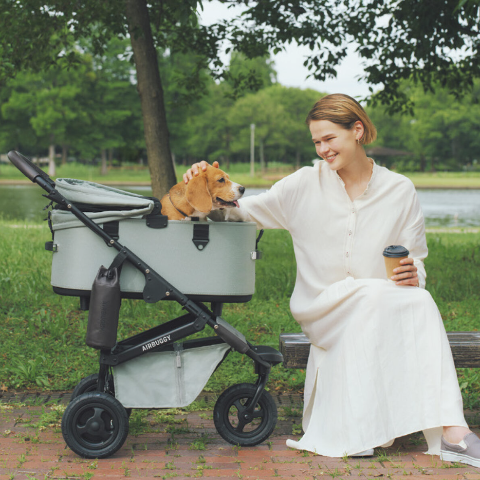 Airbuggy DOME3 Stroller - kikiandpuppies