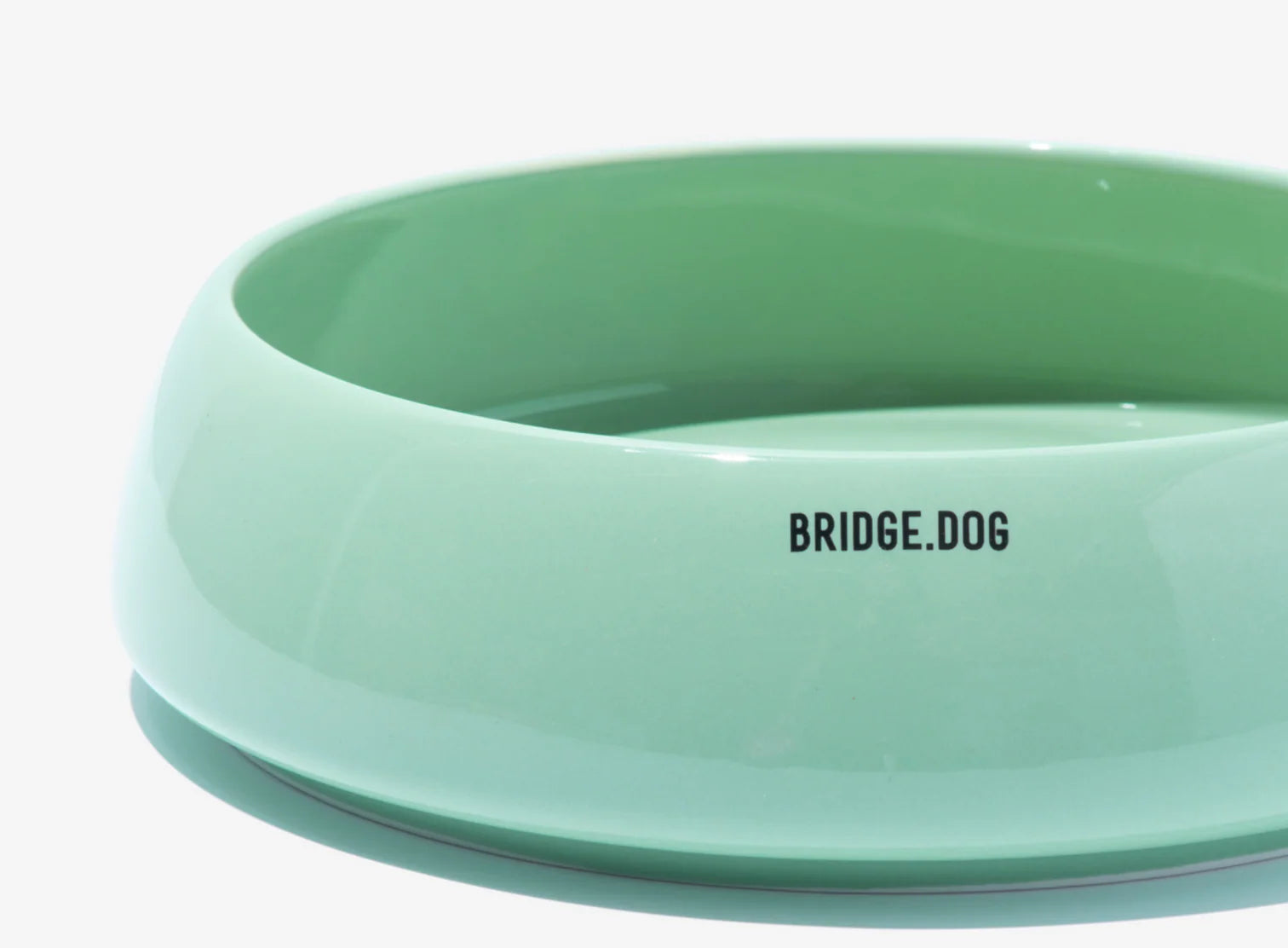 BRIDGE DOG Big Ladder - Mint (Glossy)