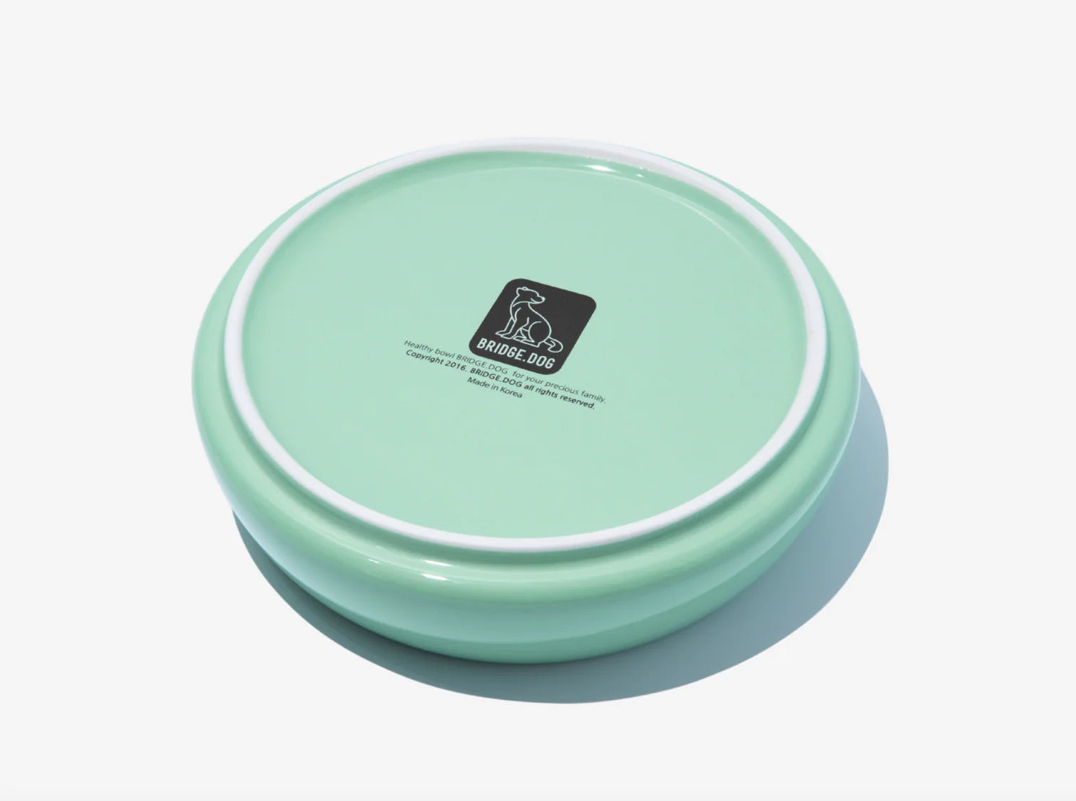 BRIDGE DOG Big Ladder - Mint (Glossy)