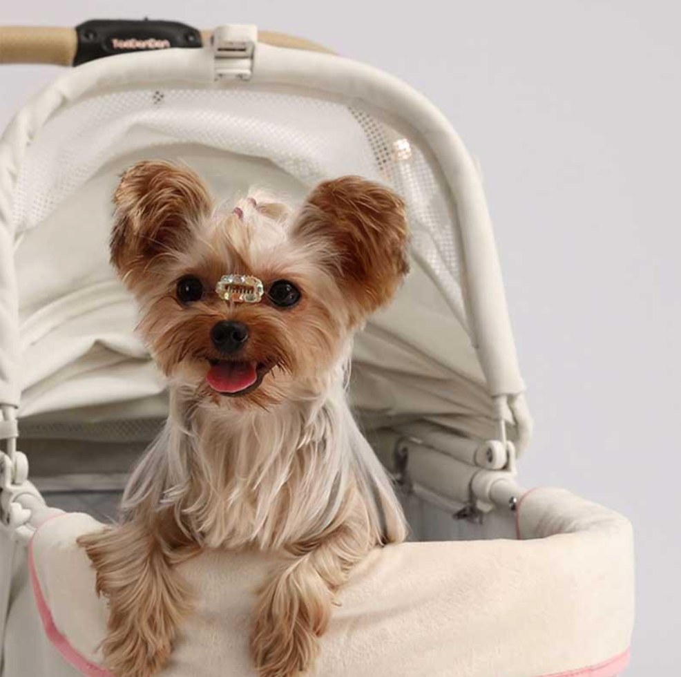 Toodandan Elegant Bow Pet Stroller - kikiandpuppies