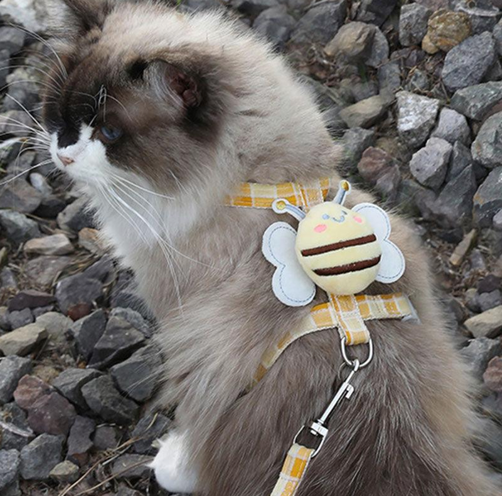 Cute Bee Cat Dog Harness Leash Set