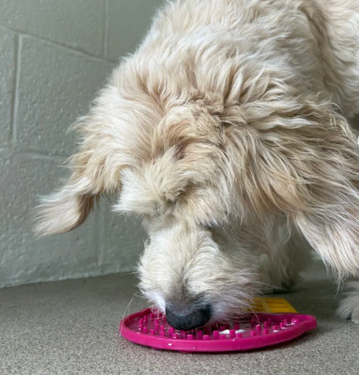 AFP Pet Lick Mat Calming Pals Ice Cream
