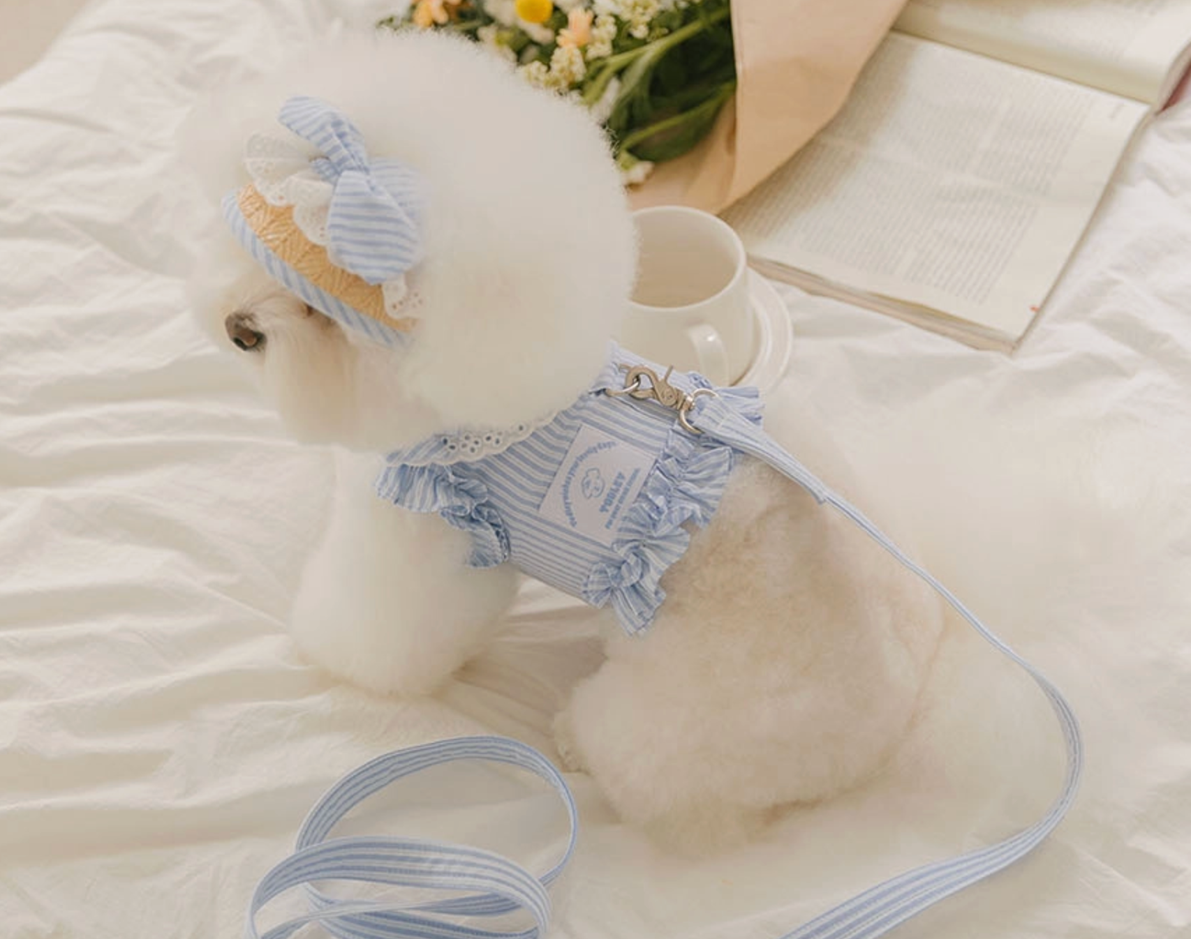 Pet Bebe Frill Harness - Blue