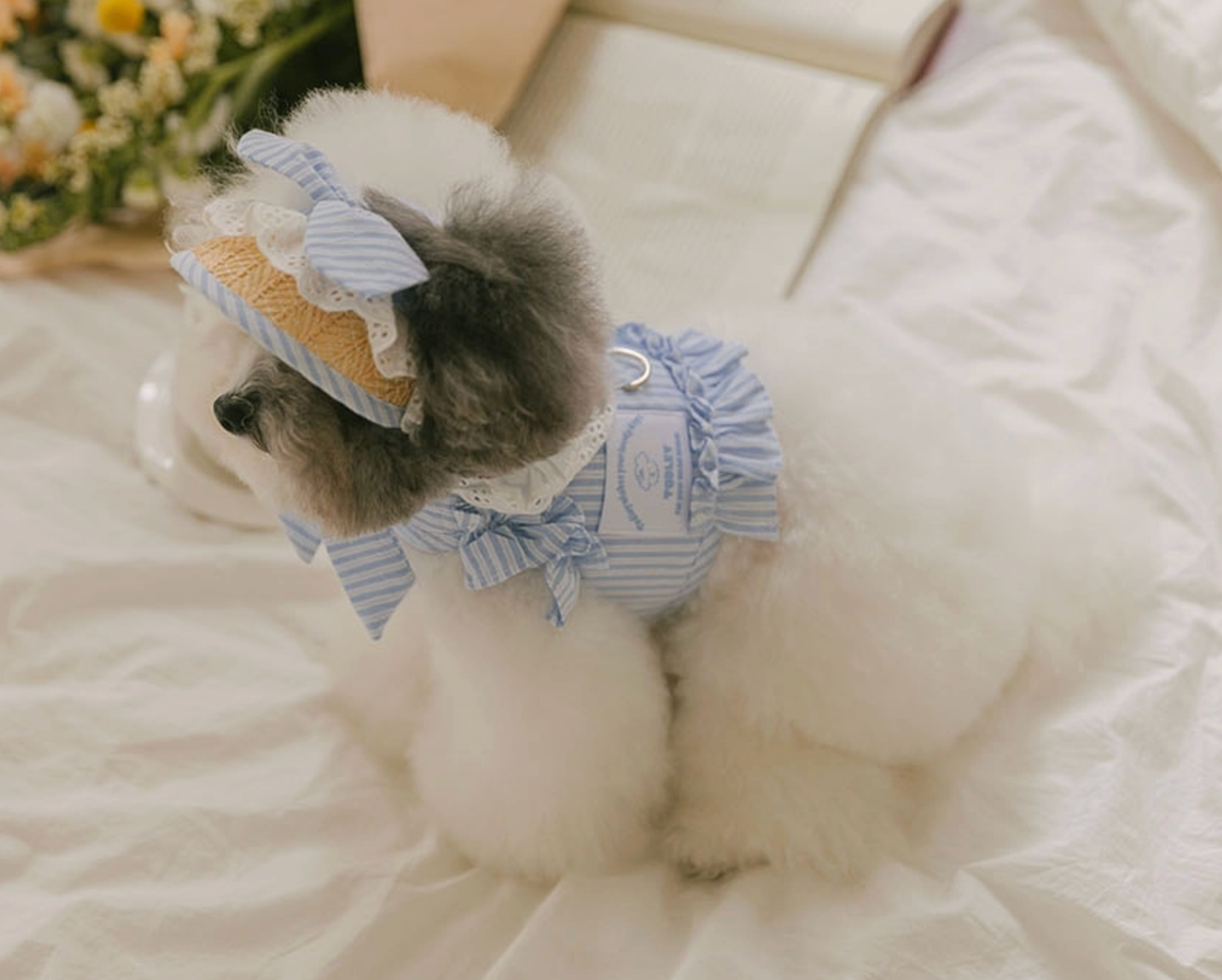 Pet Bebe Frill Harness - Blue