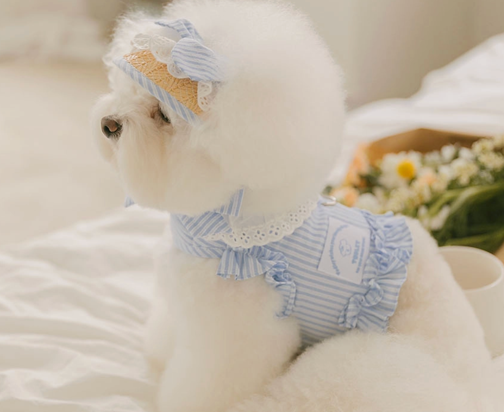 Pet Bebe Frill Harness - Blue