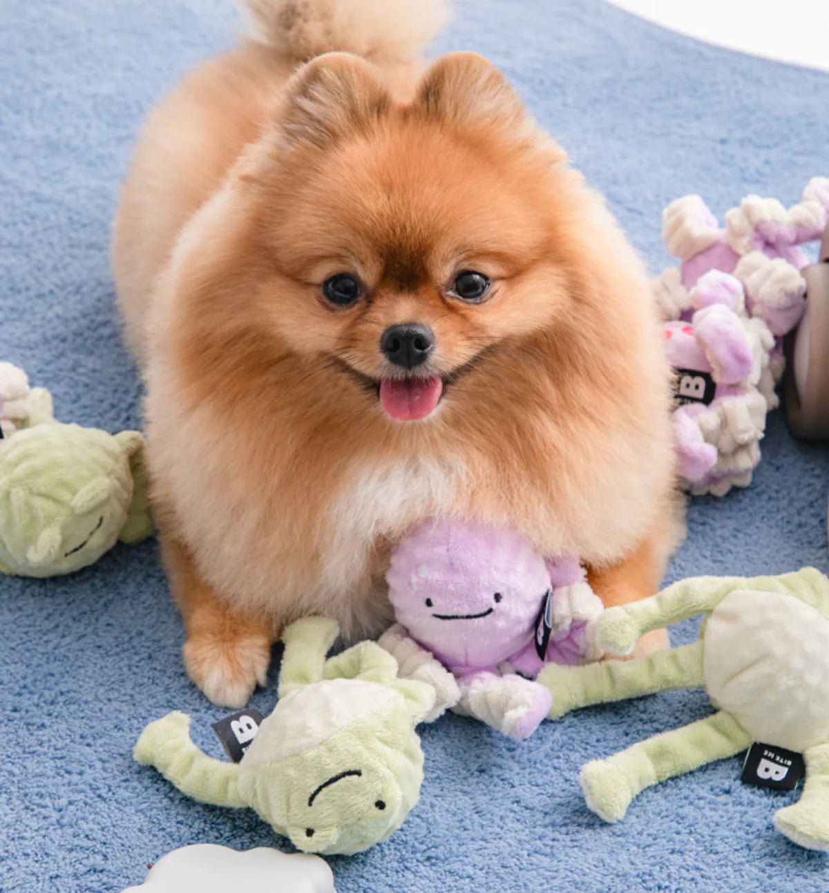 Long Hands Ball Toy - kikiandpuppies