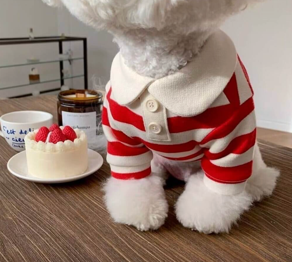 Classic Striped Polo Shirt - 2 Colors - kikiandpuppies