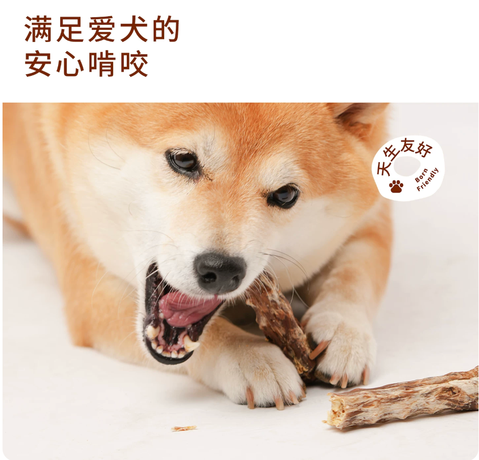 TAI YANG JIA Whole Duck Neck Dental Chew Snacks for Dogs - kikiandpuppies