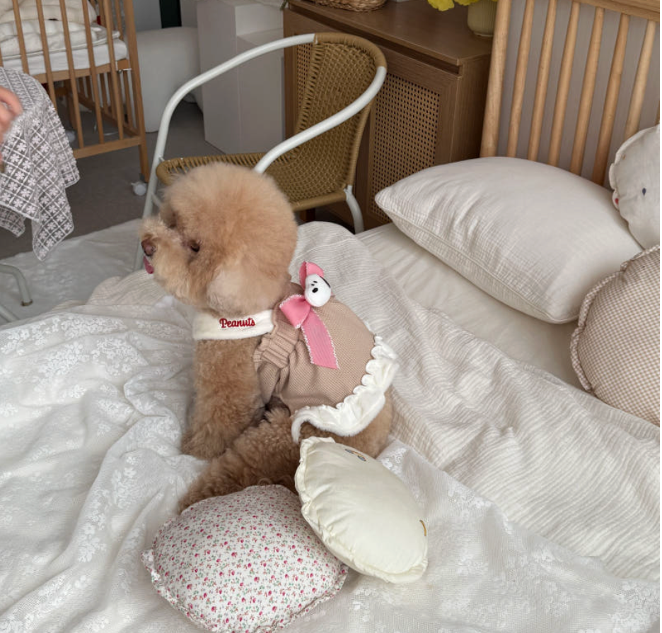 Snoopy Peanuts ribbon ruffle tee - kikiandpuppies