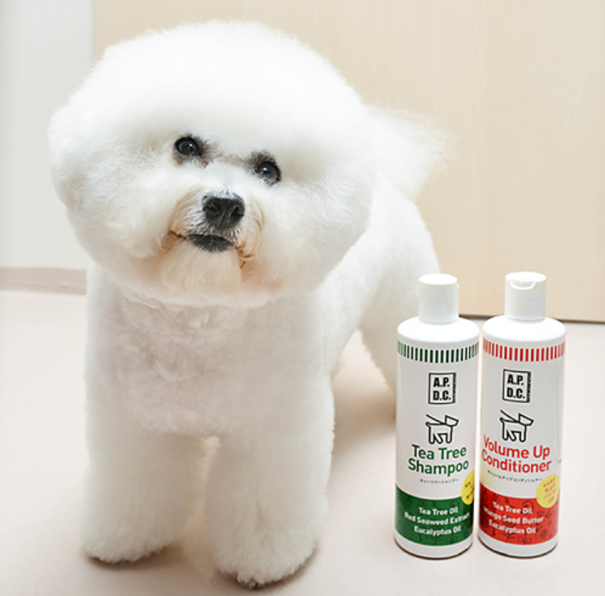 【A.P.D.C.】Tea Tree Shampoo - kikiandpuppies