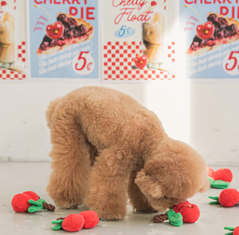 Cherry Tug Toy - kikiandpuppies